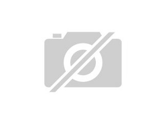 Ziegensittichhenne gesucht